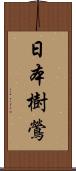 日本樹鶯 Scroll