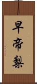 早帝梨 Scroll