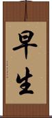 早生 Scroll