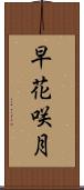 早花咲月 Scroll