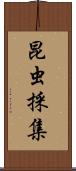 昆虫採集 Scroll