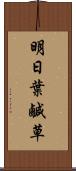 明日葉 Scroll