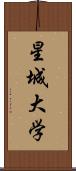 星城大学 Scroll