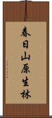 春日山原生林 Scroll
