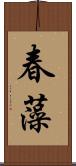 春藻 Scroll