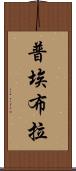 普埃布拉 Scroll