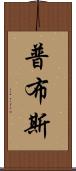 普布斯 Scroll