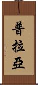普拉亞 Scroll