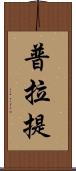 普拉提 Scroll