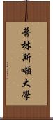 普林斯噸大學 Scroll