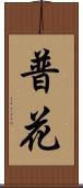 普花 Scroll