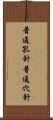 普通孔針 Scroll