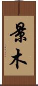景木 Scroll