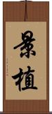 景植 Scroll