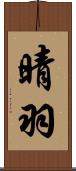 晴羽 Scroll