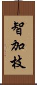 智加枝 Scroll