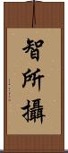 智所攝 Scroll