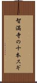 智満寺の十本スギ Scroll