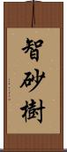 智砂樹 Scroll