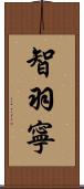 智羽寧 Scroll
