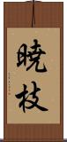 暁枝 Scroll