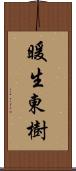 暖生東樹 Scroll