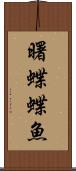 曙蝶蝶魚 Scroll
