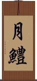 月鱧 Scroll