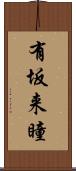 有坂来瞳 Scroll
