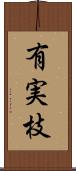 有実枝 Scroll