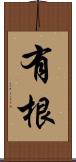有根 Scroll