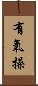 有氧操 Scroll