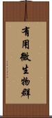 有用微生物群 Scroll