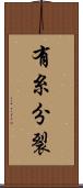 有糸分裂 Scroll