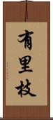 有里枝 Scroll