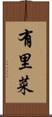 有里菜 Scroll