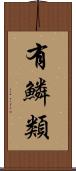 有鱗類 Scroll