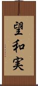 望和実 Scroll