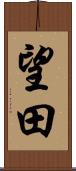 望田 Scroll