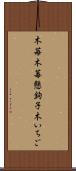 木苺 Scroll