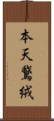 本天鵞絨 Scroll