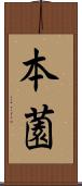 本薗 Scroll