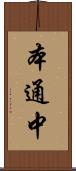 本通中 Scroll