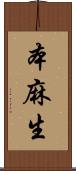 本麻生 Scroll