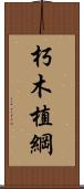 朽木植綱 Scroll