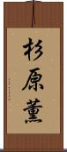 杉原薫 Scroll