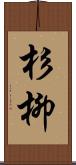 杉柳 Scroll