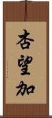 杏望加 Scroll