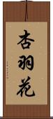 杏羽花 Scroll