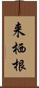 来栖根 Scroll